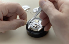 保养法穆兰(Frank Muller)价格多少