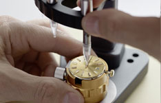 法穆兰(Frank Muller)手表售价